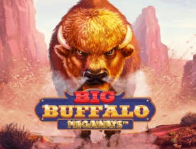 game logo by Skywind Group on spinkocasinoo.com