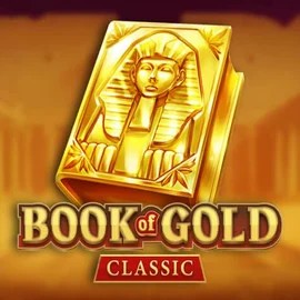 game logo by Playson on spinkocasinoo.com