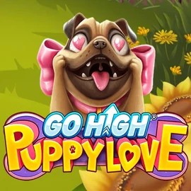 game logo by RubyPlay on spinkocasinoo.com